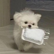 淦，这啥游戏啊