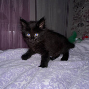 Ярик Трактор