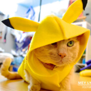 🕷 ŁĒgĘndÁ 🕷