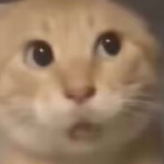 素衣白裙轻浅笑