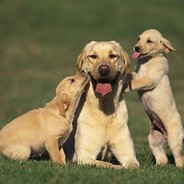 是性感的男孩子呢