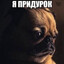 svey
