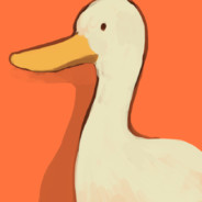 不可食用坚老果