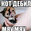Цой-игры-сталкер