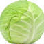 CabbageBrine