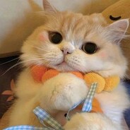 飞翔的巴啦啦小魔仙