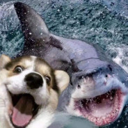 人在老特拉福德