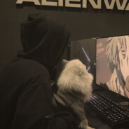 多么想回到见你第一面