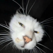 鼠标一甩原地开摆