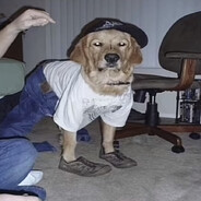 ГЕНА ЯЙЦЕХРУСТ