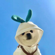 男人不能说不行