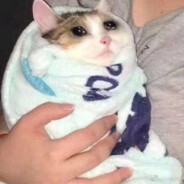 故乡の樱花开了