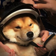 秋风未曾知我意