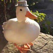 Shploof's Avatar
