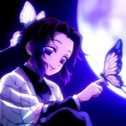 vi🦋