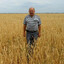 ЕМЕЛЯ КРАГОВ