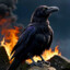 Burning Raven