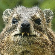 Jazz - steam id 76561197970633283