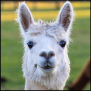 nemazanevemhogyspongyabob