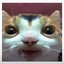 Banxi