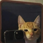 喜欢脚球男怎么你了