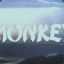 Monkey91