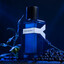 YSL Y Edp Intense