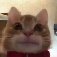 永美老师的死库水