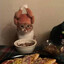 Schizocatt (✿◠‿◠)