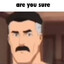 Are you sure?