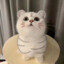 _时川肆
