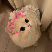 66岁网恋被骗3000