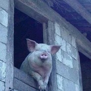 只有大狙才能打败魔法