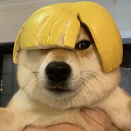 那年夏天宁静的海