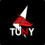 tuny v2