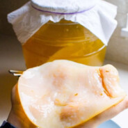 iAteTheScoby