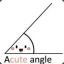 Acute Angle