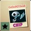 Chip