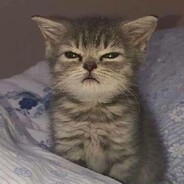 rawr / 𝕃𝕠𝕠𝕤𝕖𝕣