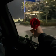 再见只是陌生人