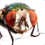 <-FMB->*Bstk allias skill de mou