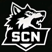 SCN-翻斗花园狙击手