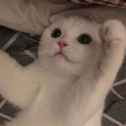 ♥S𝖆𝖑𝖙𝔂?♥