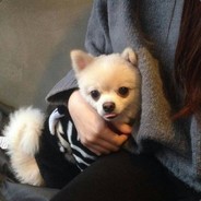 有个基佬拔我裤咧