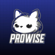 Prowise - steam id 76561198240359338