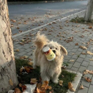 老公为南通出走的雨夜