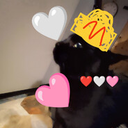 Pan KKOCURR SKINS.ARMY