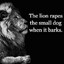 The Lion