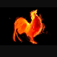 огненный петух (гусь avatar