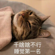 猫猫虫